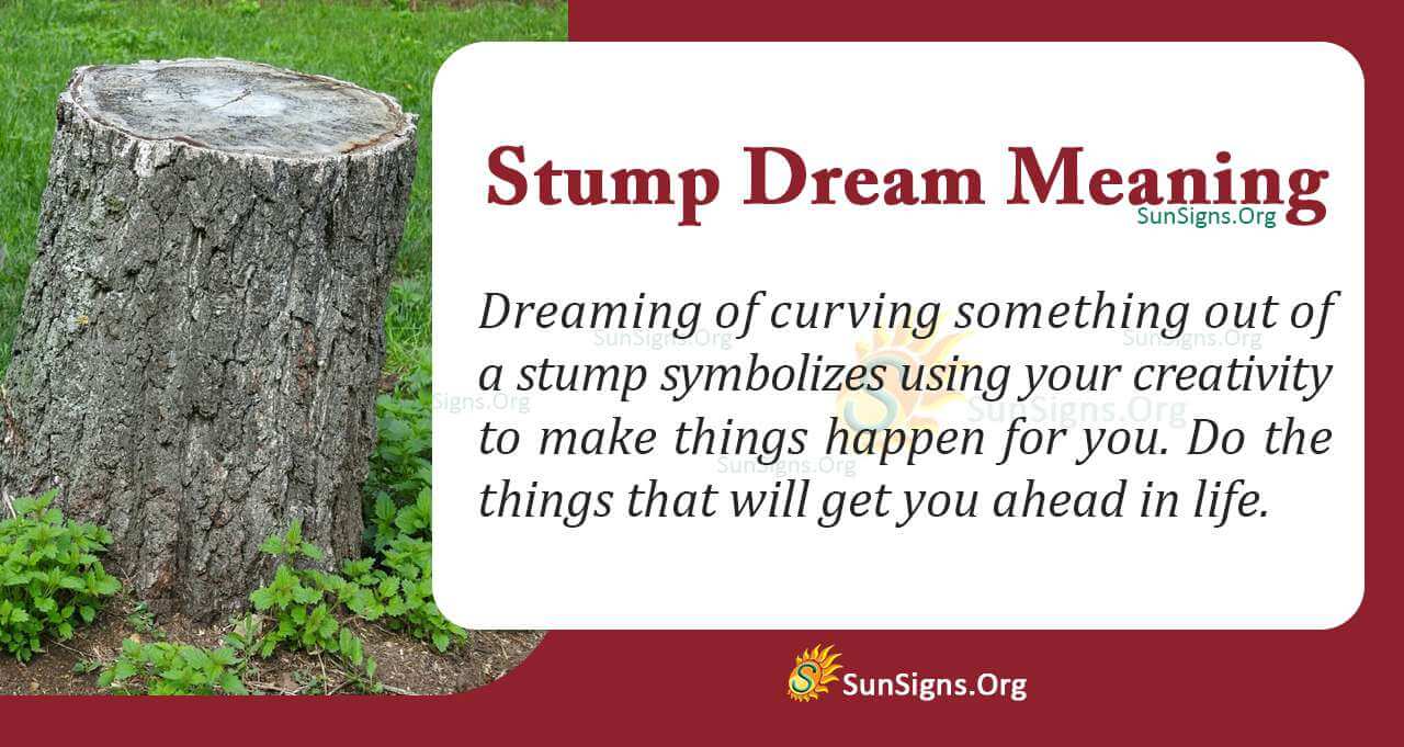 Seeing A Stump In Your Dream Meaning Interpretation And Symbolism