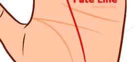 fate line