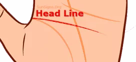 head line