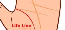 life line