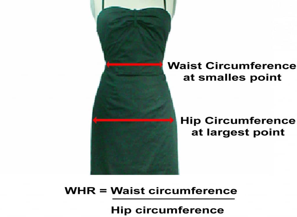 How To Get Hip Waist Ratio at Elaine Morehouse blog