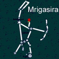mrigashira
