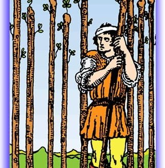 nine of wands