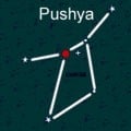 pushya shirt