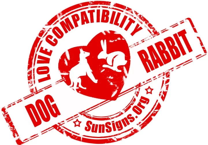 The dog and rabbit in love are both faithful and devoted and make their partners feel secure.
