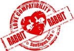 Rabbit And Rabbit Compatibility: Peaceful And Quiet - SunSigns.Org