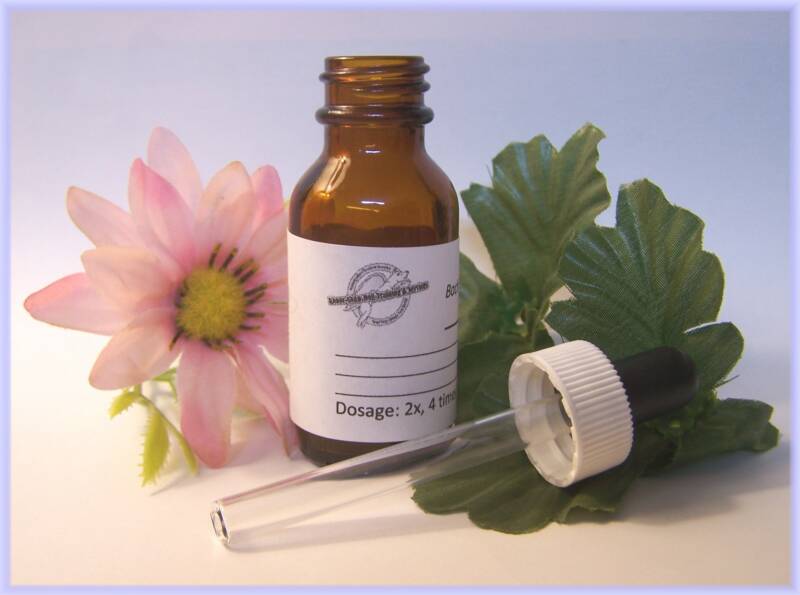 Bach Flower Remedies | SunSigns.Org