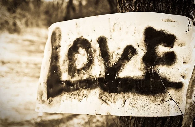 in-love