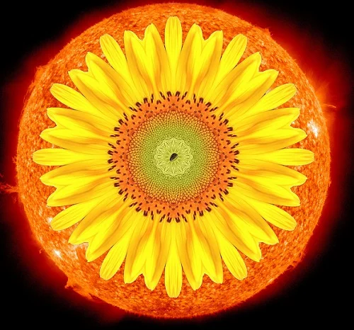 Summer solstice meaning