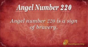 angel number 220