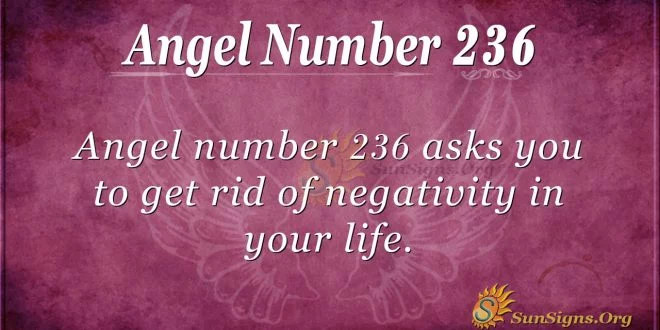 angel number 236