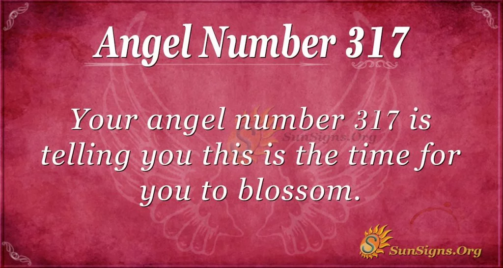Angel Number 317