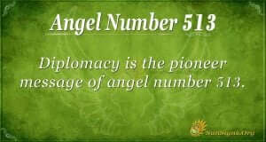 what's the meaning of 513