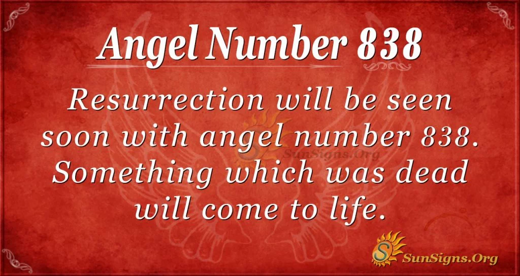 Angel numero 838