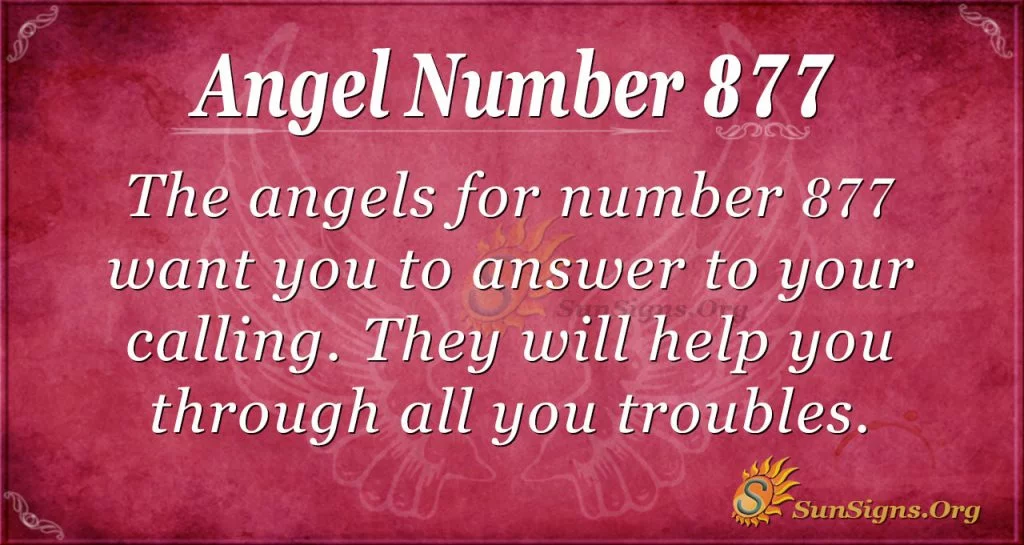 angel number 877