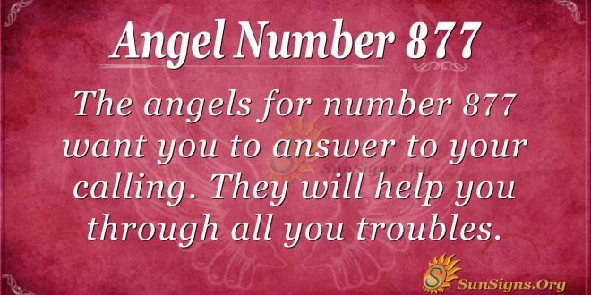 angel number 877