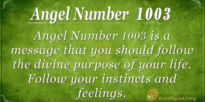 angel number 1003