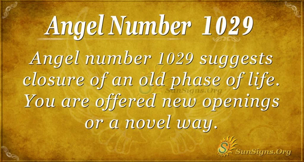angel number 1029