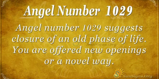angel number 1029