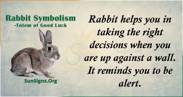 Rabbit Spirit Animal Totem Meaning - Totem Of Good Luck - SunSigns.Org