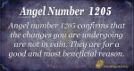number 1205 meaning