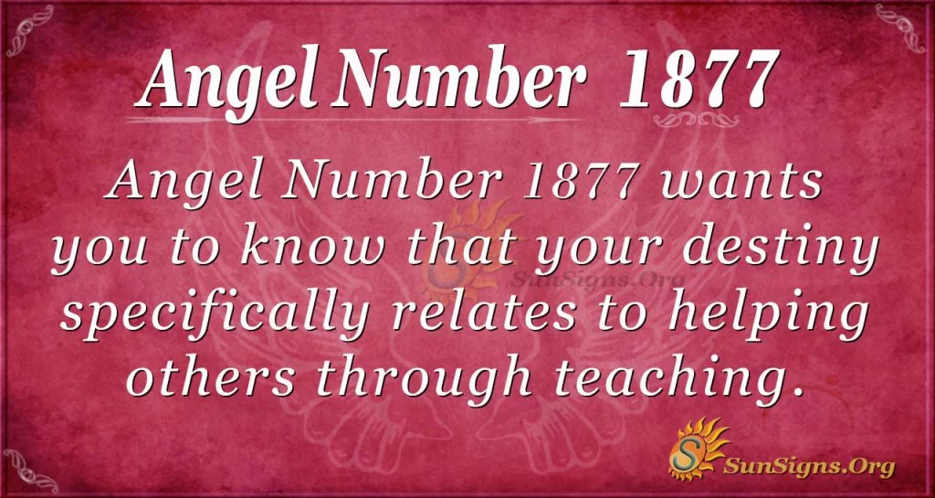 Angel Number 1877