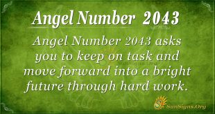 Angel Number 2043