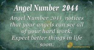 Angel Number2044