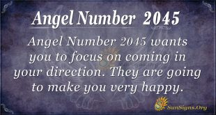 Angel Number 2045