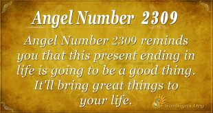 Angel Number 2309