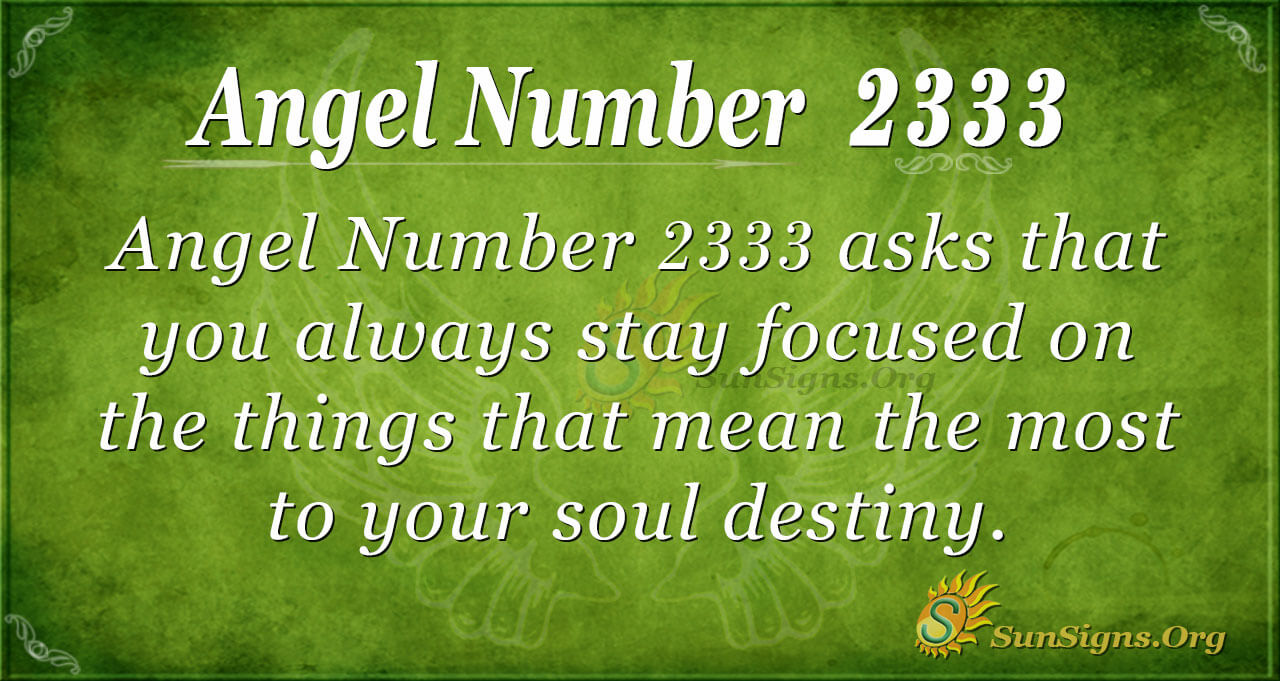 2333 angel number love