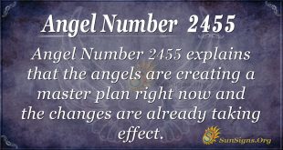 Angel Number 2455