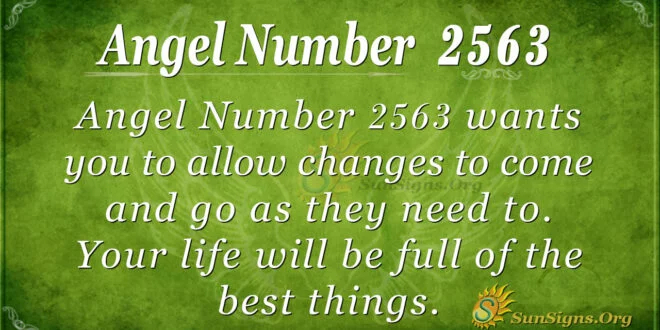 Angel Number 2563
