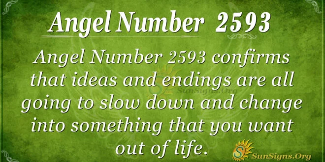 Angel Number 2593