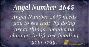 Angel Number 2645