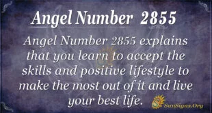 Angel Number 2855