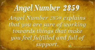 Angel Number 2859
