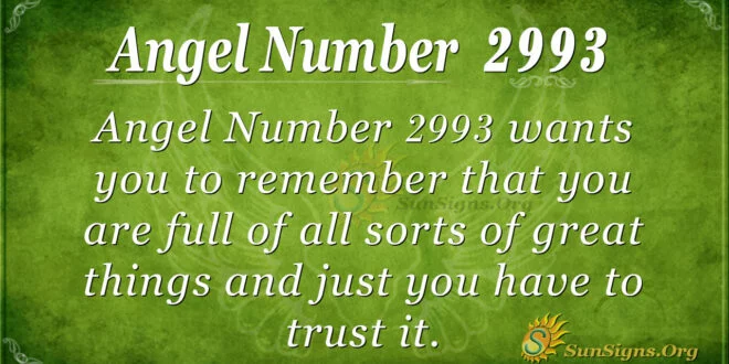 Angel Number 2993