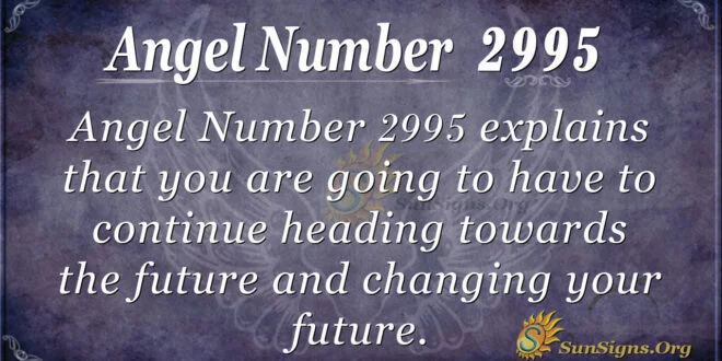 Angel Number 2995