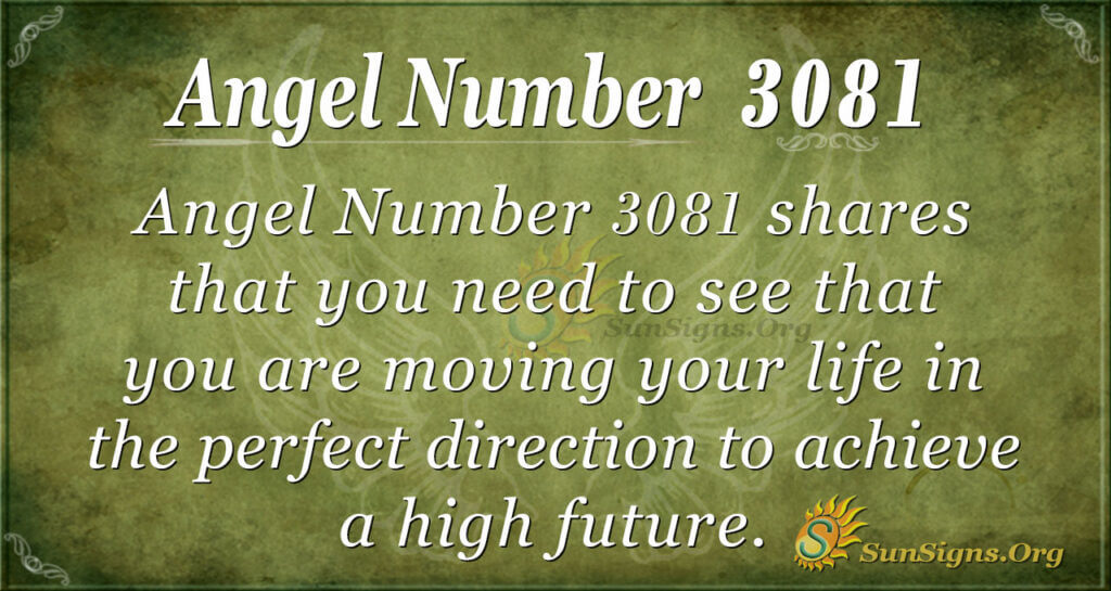 Angel nuber 3081