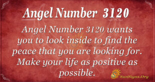 Angel Number 3120