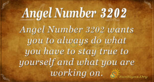 Ange Number 3202