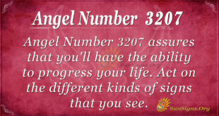 Angel Number 3207