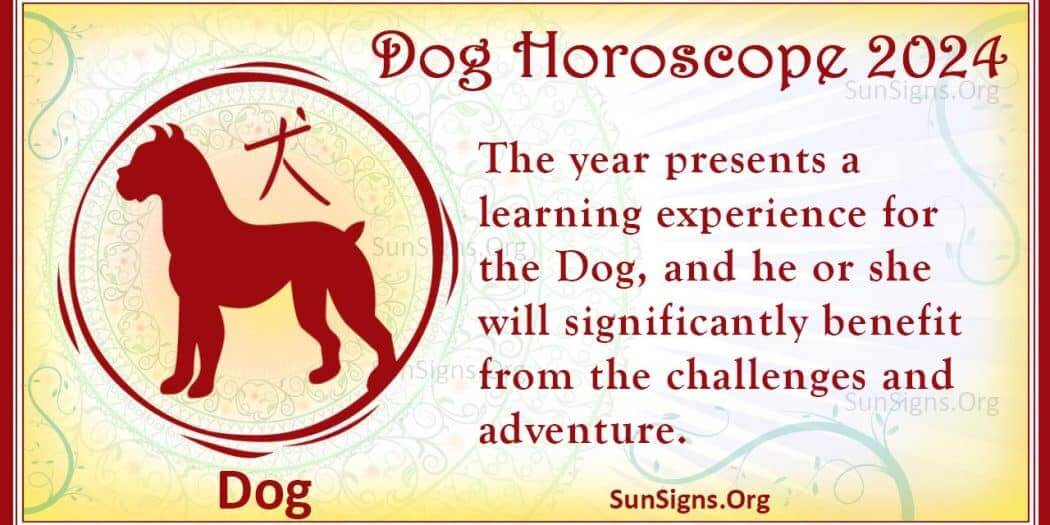 Dog Horoscope 2024 Luck And Feng Shui Predictions!