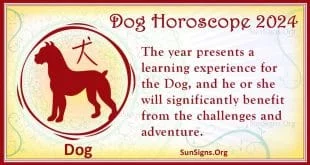 dog 2024