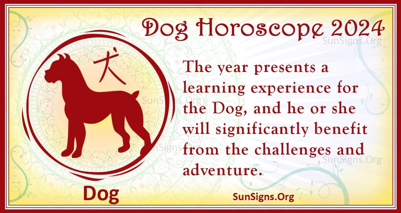 Dog Horoscope 2024 Luck And Feng Shui Predictions SunSigns Org