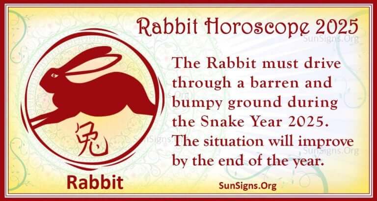 chinese new year for the rabbit 2025