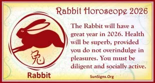 rabbit 2026