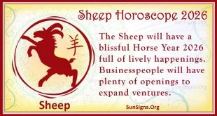 sheep 2026