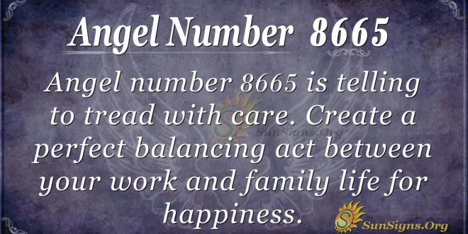 angel number 8665